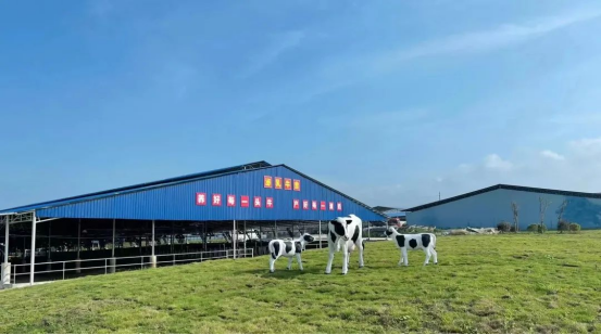 奶源建設(shè)再提速！田東縣皇氏奶業(yè)示范區(qū)正式投產(chǎn)！
