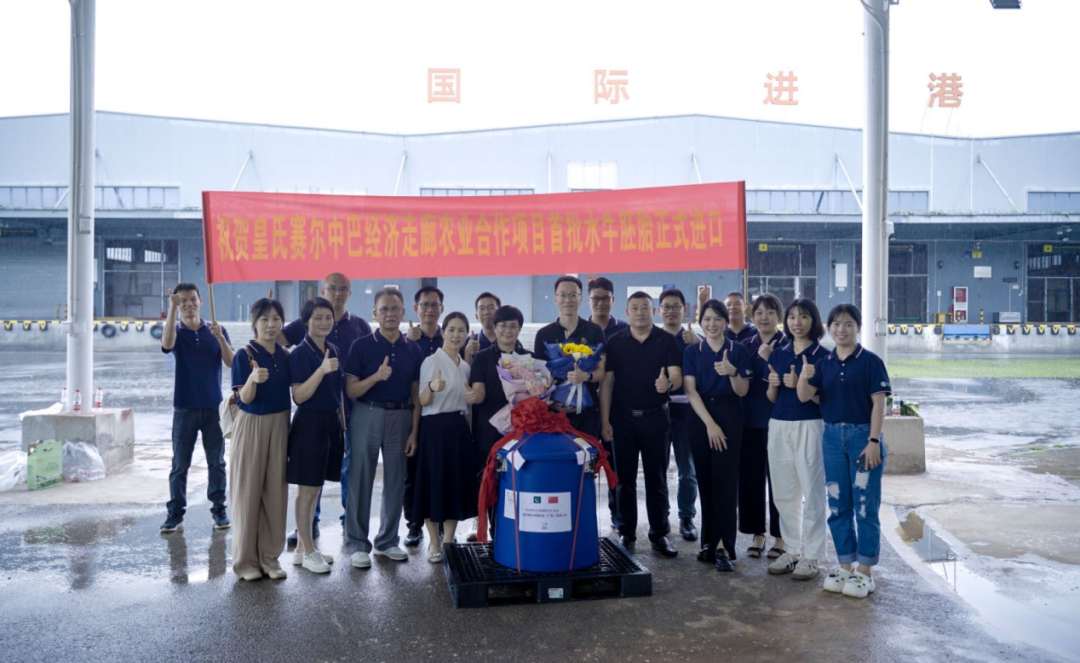 重磅！全國首批5000枚進口巴基斯坦優(yōu)質(zhì)奶水牛胚胎入境，第一時間落戶皇氏集團投入奶水牛改良繁育生產(chǎn)